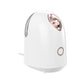 Portable Nano Facial Steamer with Hot Compress Skin Hydrator